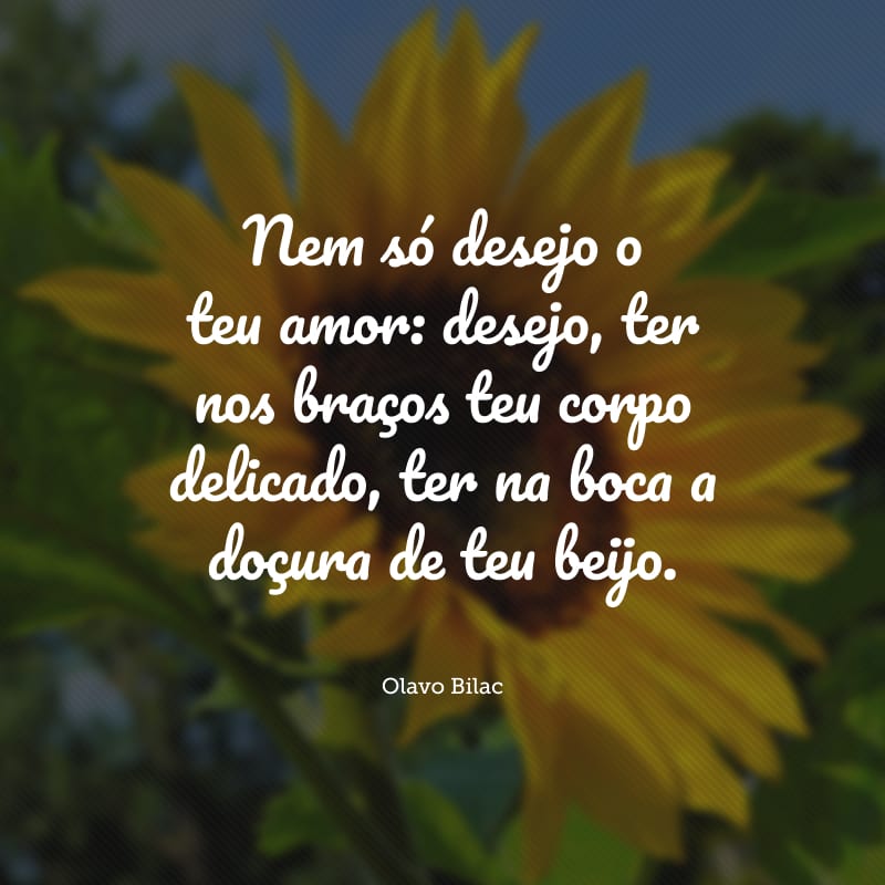 Nem só desejo o teu amor: desejo, ter nos braços teu corpo delicado, ter na boca a doçura de teu beijo.