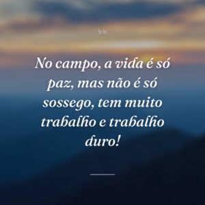 No campo, a vida é só paz, mas não é só sossego, tem muito trabalho e trabalho duro!