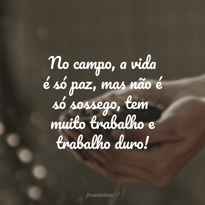 No campo, a vida é só paz, mas não é só sossego, tem muito trabalho e trabalho duro!