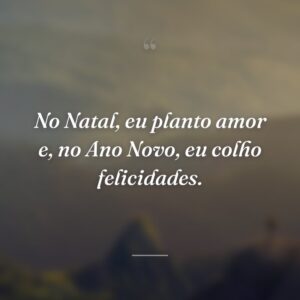 No Natal, eu planto amor e, no Ano Novo, eu colho felicidades.