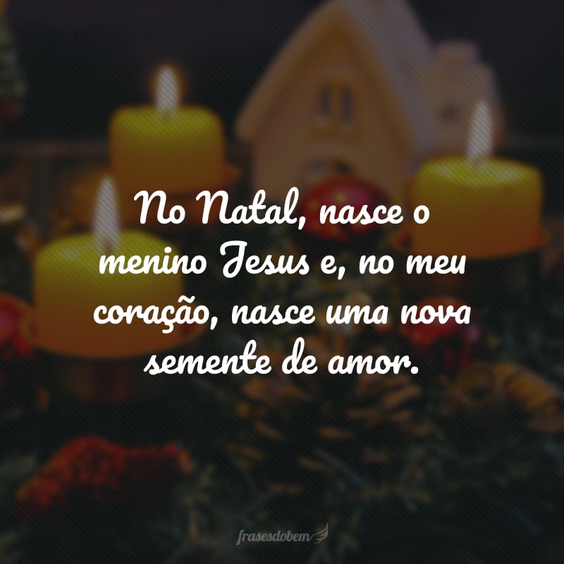 No Natal, nasce o menino Jesus e, no meu coração, nasce uma nova semente de amor.