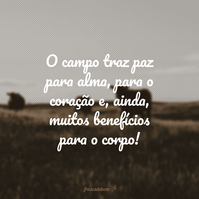 O campo traz paz para alma, para o coração e, ainda, muitos benefícios para o corpo!