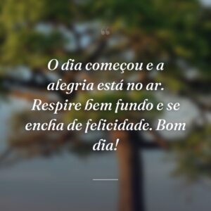 O dia começou e a alegria está no ar. Respire bem fundo e se encha de felicidade. Bom dia!