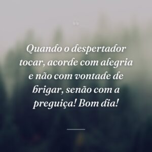 Quando o despertador tocar, acorde com alegria e não com vontade de brigar, senão com a preguiça! Bom dia!