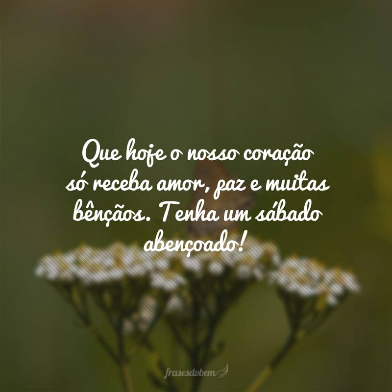 Que hoje o nosso coração só receba amor, paz e muitas bênçãos. Tenha um sábado abençoado!