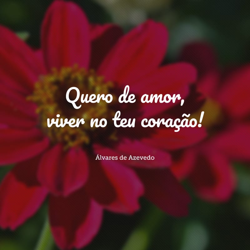 Quero de amor, viver no teu coração!