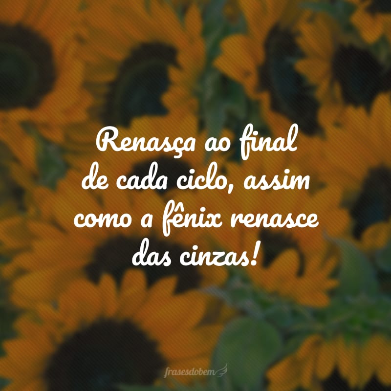 Renasça ao final de cada ciclo, assim como a fênix renasce das cinzas!