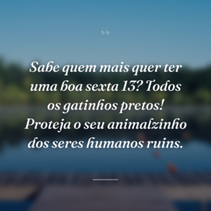Sabe quem mais quer ter uma boa sexta 13? Todos os gatinhos pretos! Proteja o seu animalzinho dos seres humanos ruins.