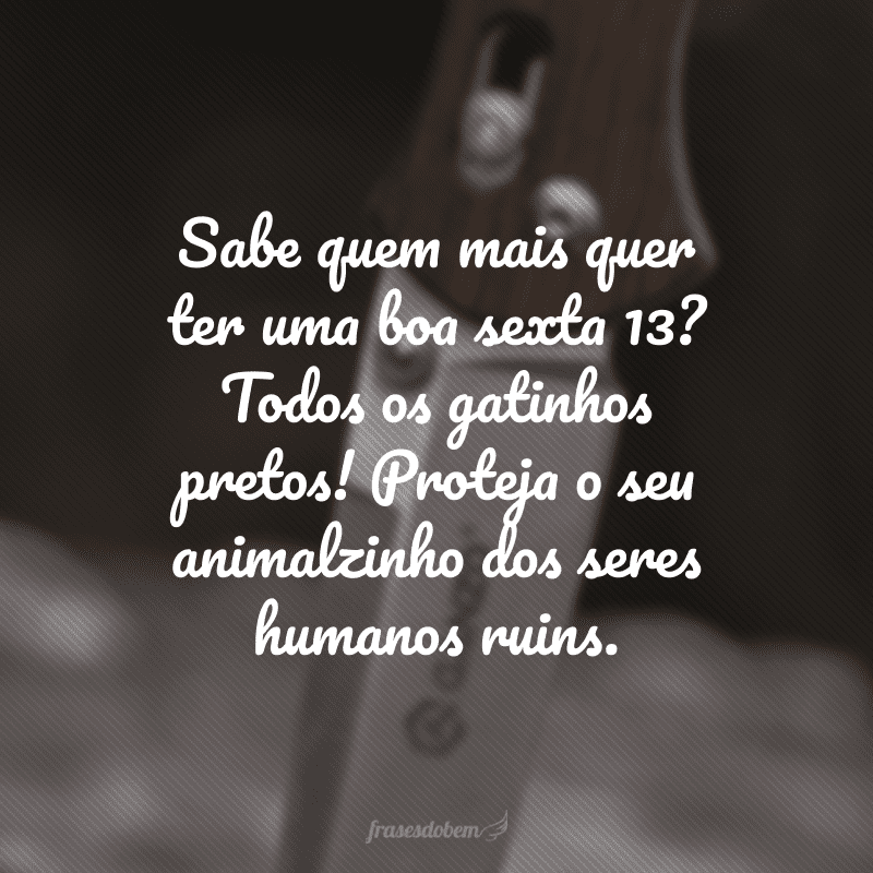 Sabe quem mais quer ter uma boa sexta 13? Todos os gatinhos pretos! Proteja o seu animalzinho dos seres humanos ruins.