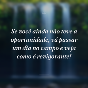 Se você ainda não teve a oportunidade, vá passar um dia no campo e veja como é revigorante!