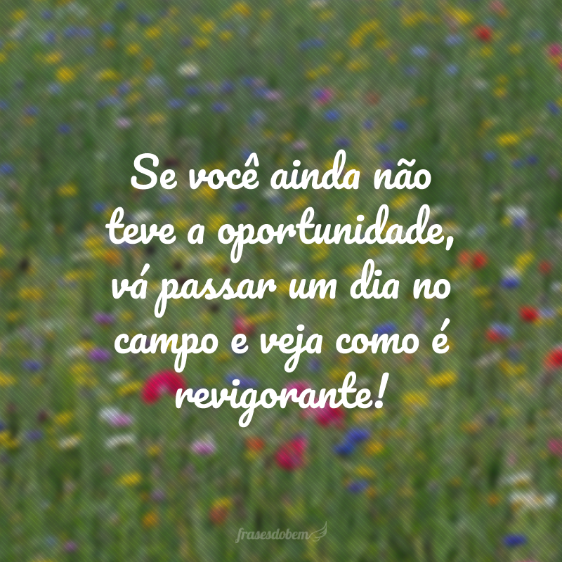 Se você ainda não teve a oportunidade, vá passar um dia no campo e veja como é revigorante!