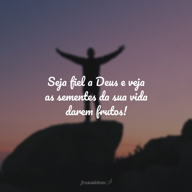 Seja fiel a Deus e veja as sementes da sua vida darem frutos!