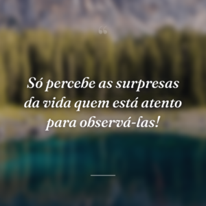 Só percebe as surpresas da vida quem está atento para observá-las!