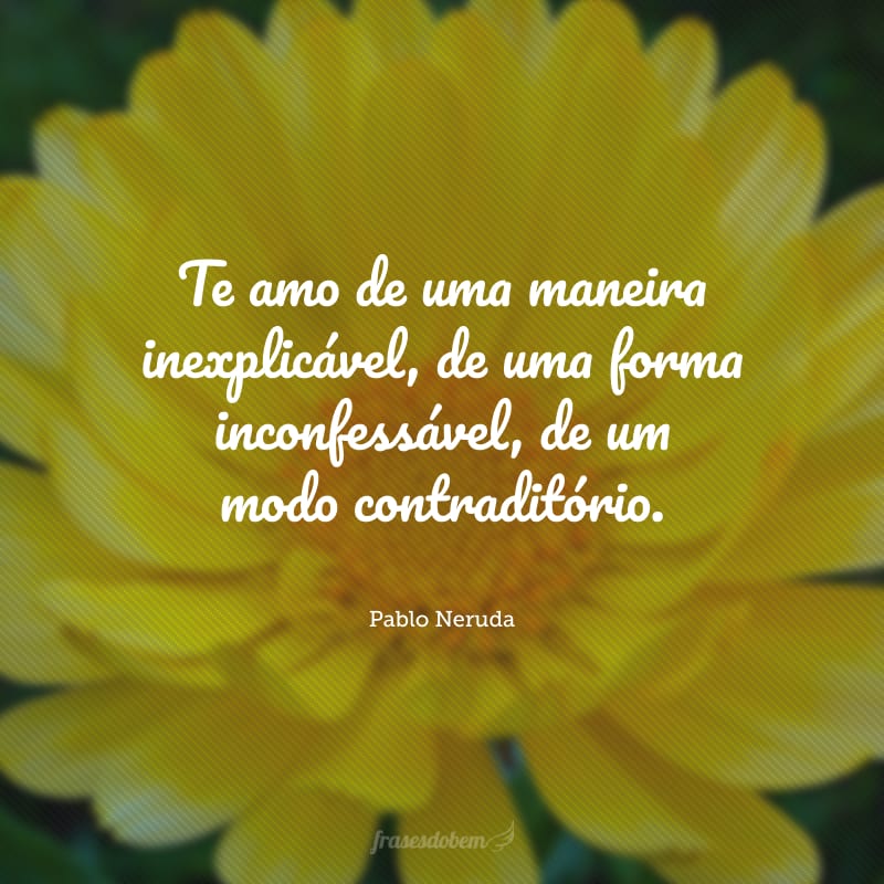 Te amo de uma maneira inexplicável, de uma forma inconfessável, de um modo contraditório.