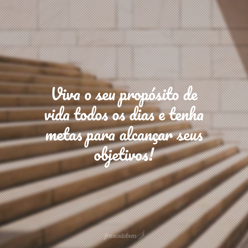 Viva o seu propósito de vida todos os dias e tenha metas para alcançar seus objetivos!