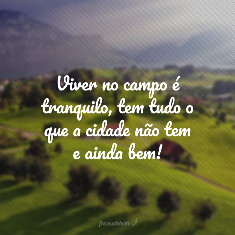 Viver no campo é tranquilo, tem tudo o que a cidade não tem e ainda bem!