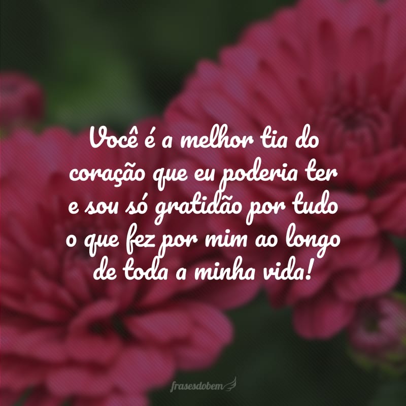 Você é a melhor tia do coração que eu poderia ter e sou só gratidão por tudo o que fez por mim ao longo de toda a minha vida!