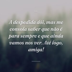 A despedida dói, mas me consola saber que não é para sempre e que ainda vamos nos ver. Até logo, amiga!