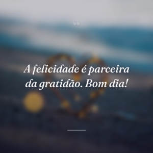 A felicidade é parceira da gratidão. Bom dia!