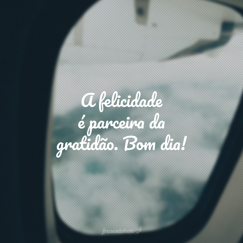 A felicidade é parceira da gratidão. Bom dia! 