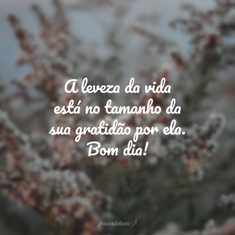 A leveza da vida está no tamanho da sua gratidão por ela. Bom dia! 