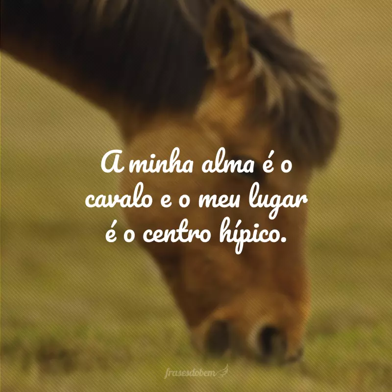 A minha alma é o cavalo e o meu lugar é o centro hípico.