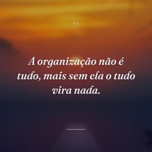 A organização não é tudo, mais sem ela o tudo vira nada.