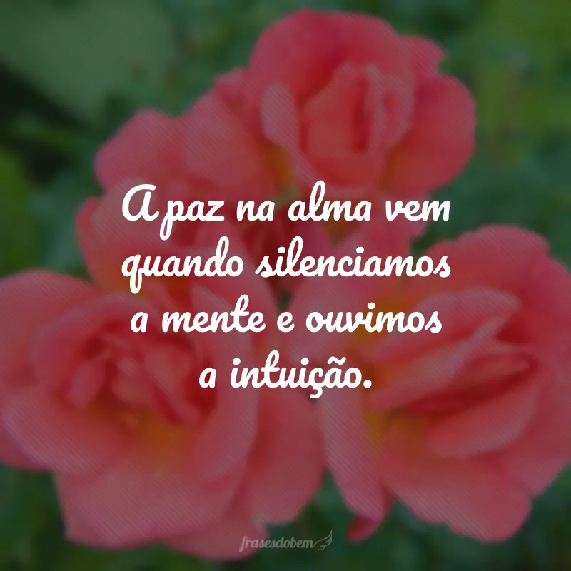 A paz na alma vem quando silenciamos a mente e ouvimos a intuição.