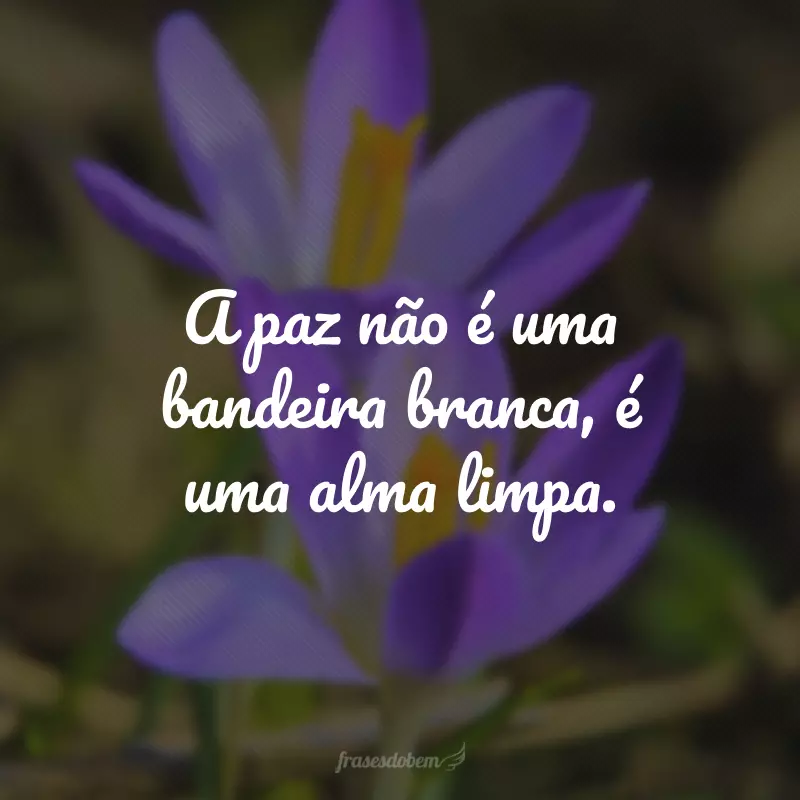 A paz não é uma bandeira branca, é uma alma limpa.