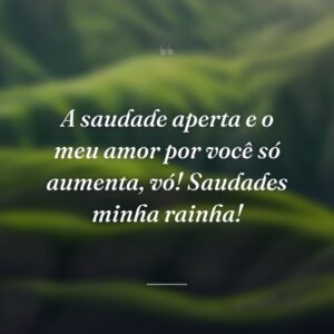 A saudade aperta e o meu amor por você só aumenta, vó! Saudades minha rainha!