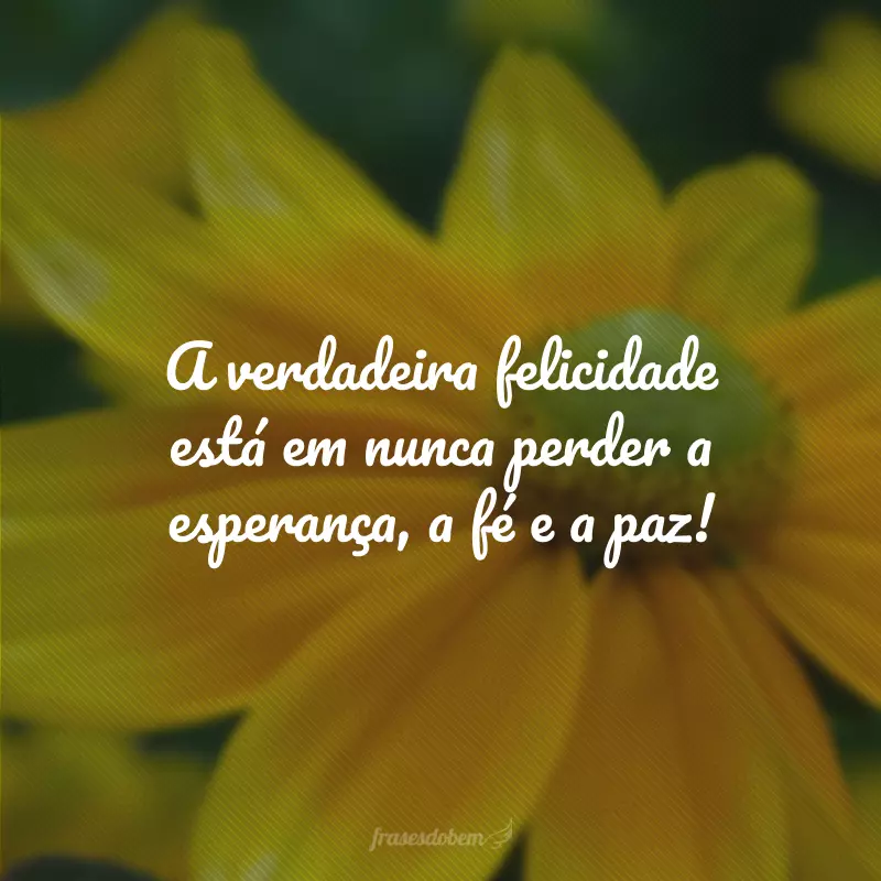 A verdadeira felicidade está em nunca perder a esperança, a fé e a paz!