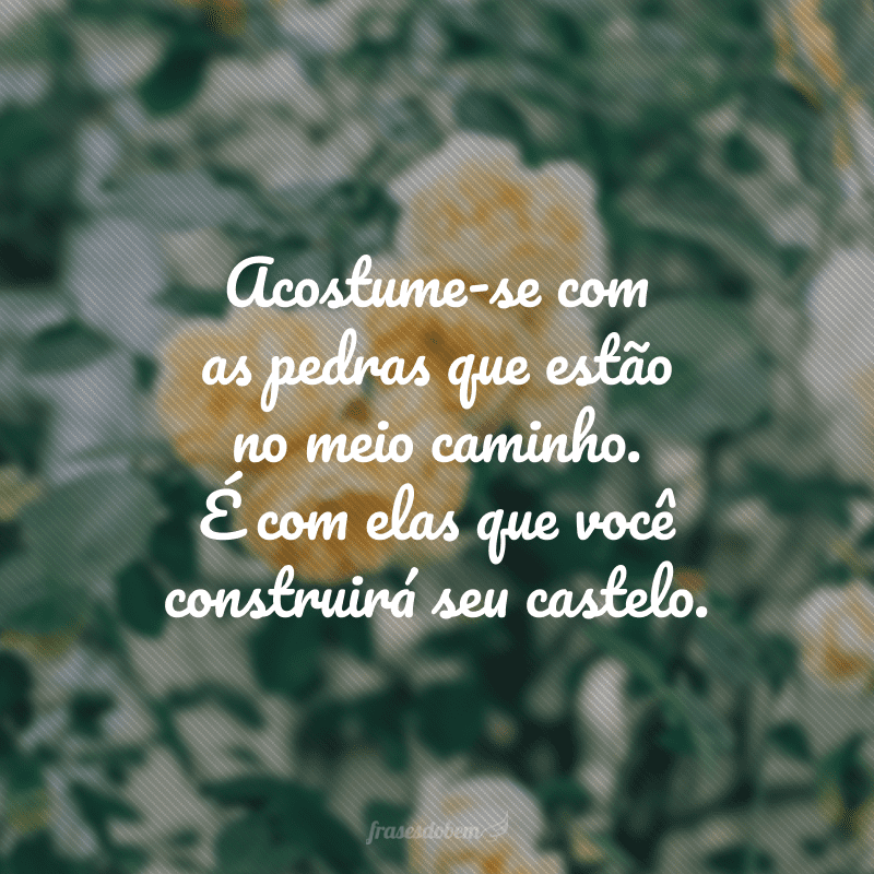 Acostume-se com as pedras que estão no meio caminho. É com elas que você construirá seu castelo.