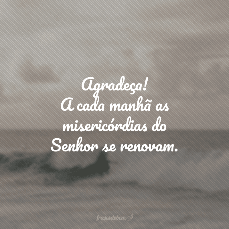 Agradeça! A cada manhã as misericórdias do Senhor se renovam. 