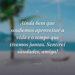 Ainda bem que soubemos aproveitar a vida e o tempo que tivemos juntas. Sentirei saudades, amiga!