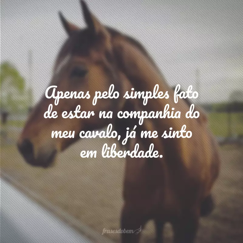 Apenas pelo simples fato de estar na companhia do meu cavalo, já me sinto em liberdade.