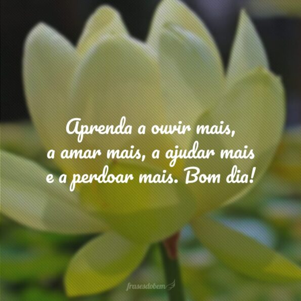 50-frases-esp-ritas-de-bom-dia-para-evoluir-espiritualmente