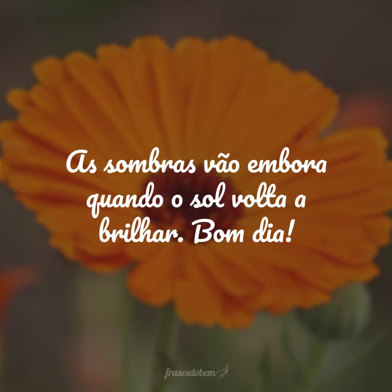 As sombras vão embora quando o sol volta a brilhar. Bom dia!
