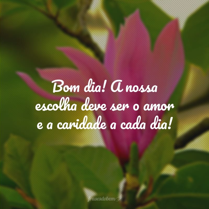 Bom dia! A nossa escolha deve ser o amor e a caridade a cada dia!