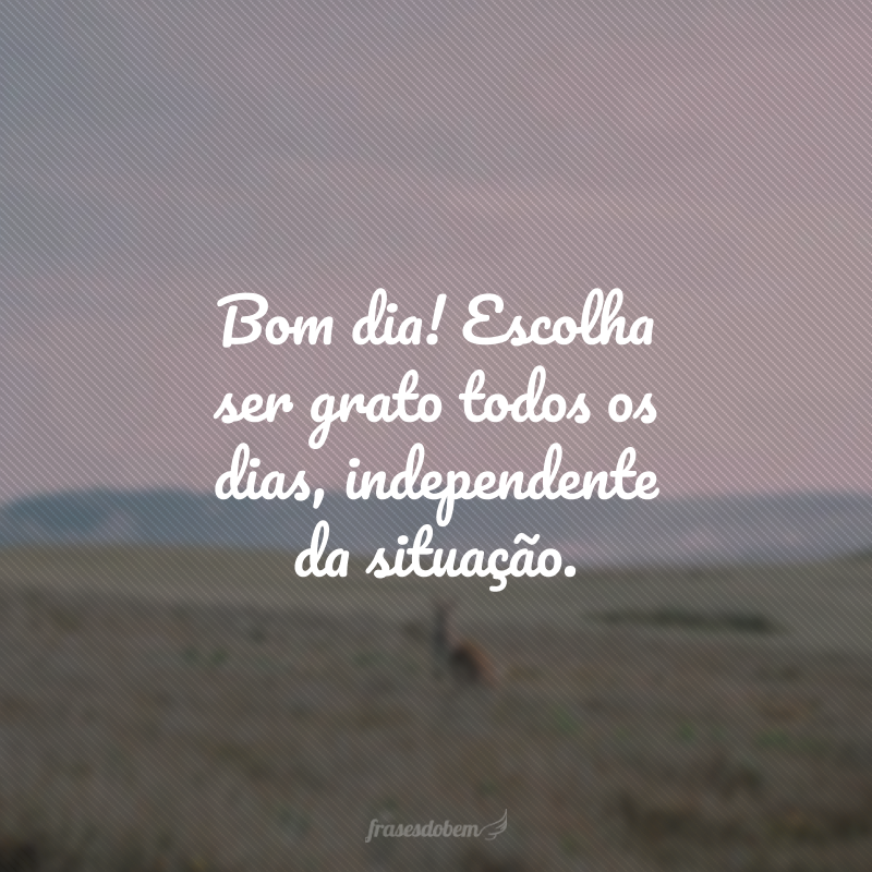 Bom dia! Escolha ser grato todos os dias, independente da situação. 