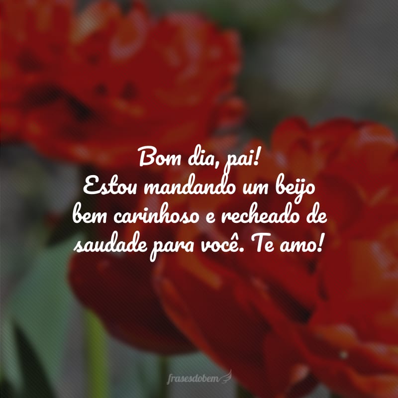 Bom dia, pai! Estou mandando um beijo bem carinhoso e recheado de saudade para você. Te amo!