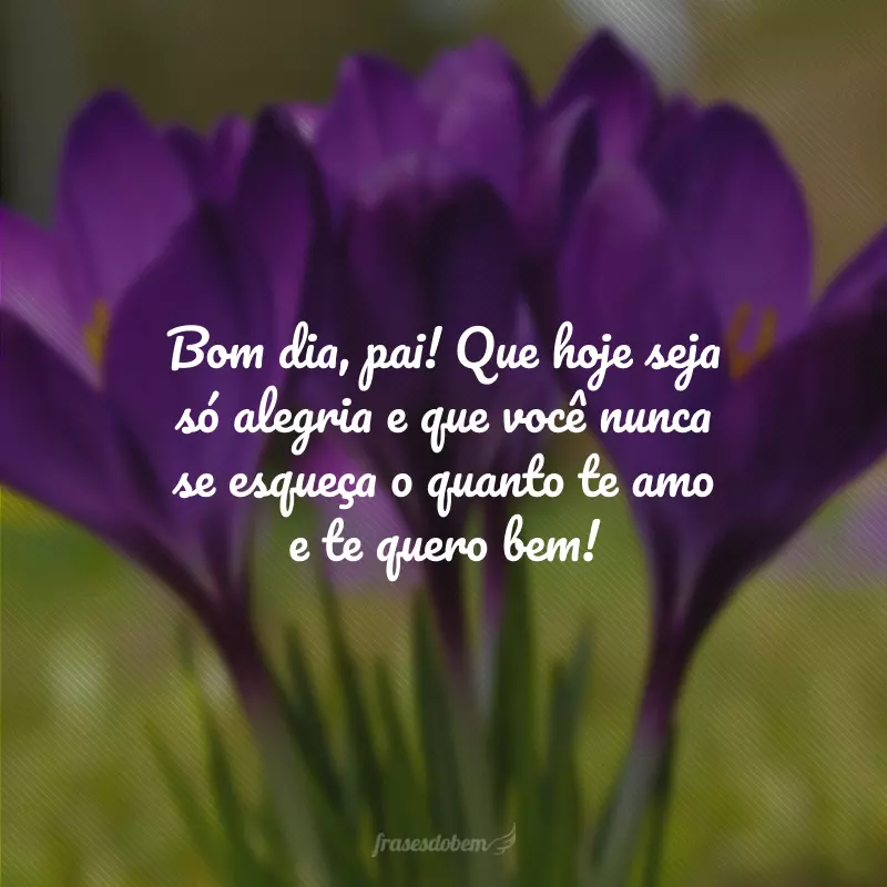 Bom dia, pai! Que hoje seja só alegria e que você nunca se esqueça o quanto te amo e te quero bem!