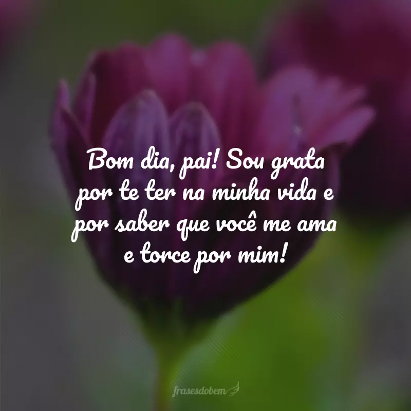 Bom dia, pai! Sou grata por te ter na minha vida e por saber que você me ama e torce por mim!