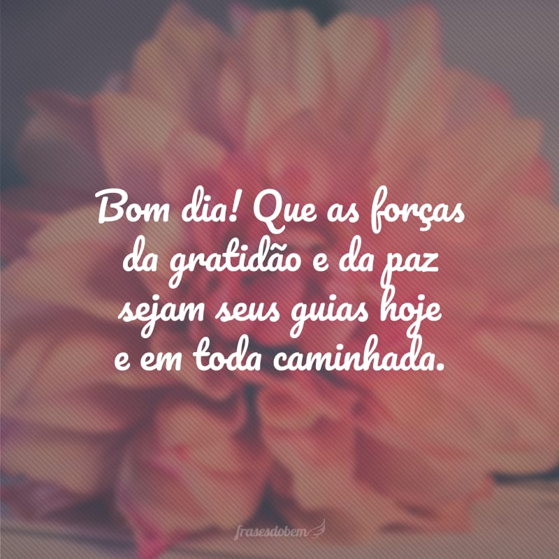 Bom dia! Que as forças da gratidão e da paz sejam seus guias hoje e em toda caminhada.