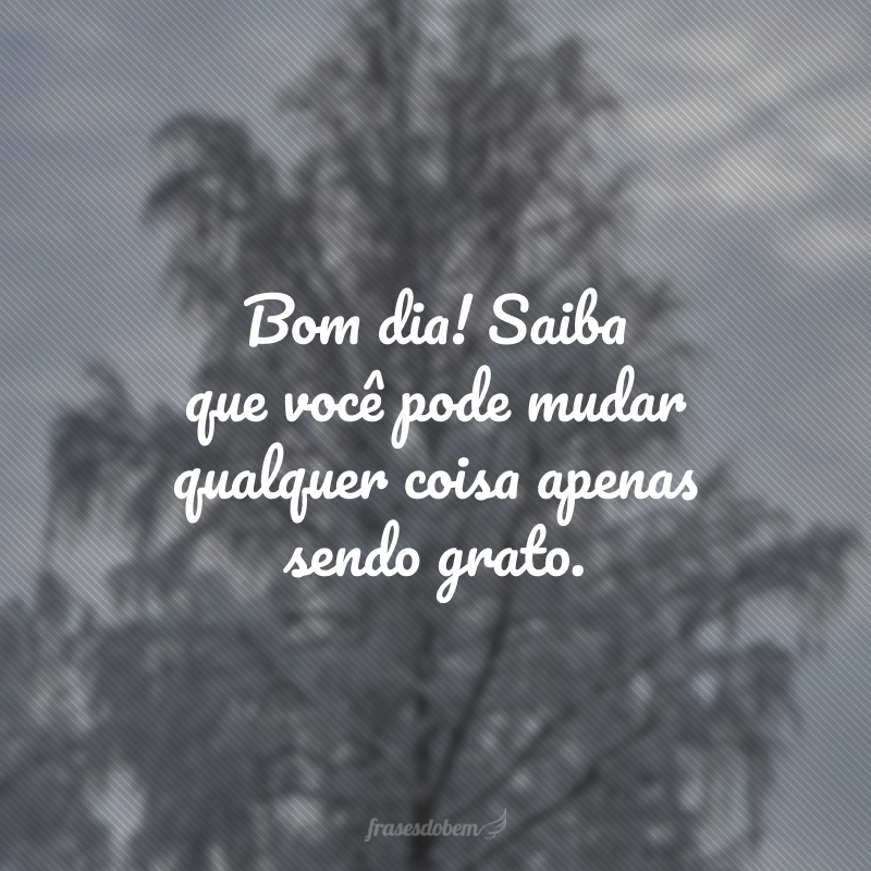 Bom dia! Saiba que você pode mudar qualquer coisa apenas sendo grato. 