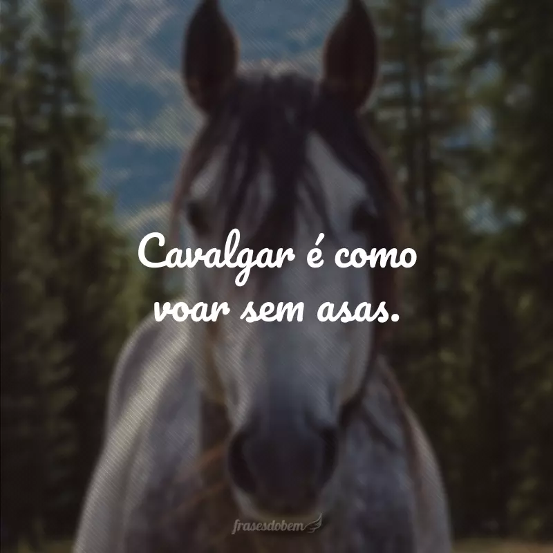 Cavalgar é como voar sem asas.