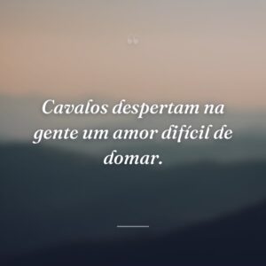 Cavalos despertam na gente um amor difícil de domar.
