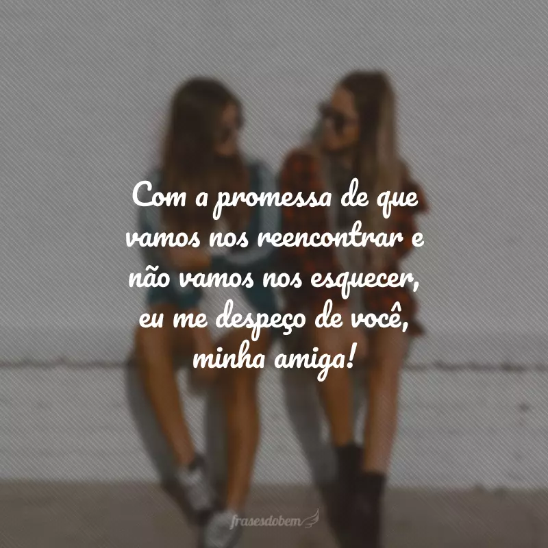 Com a promessa de que vamos nos reencontrar e não vamos nos esquecer, eu me despeço de você, minha amiga!