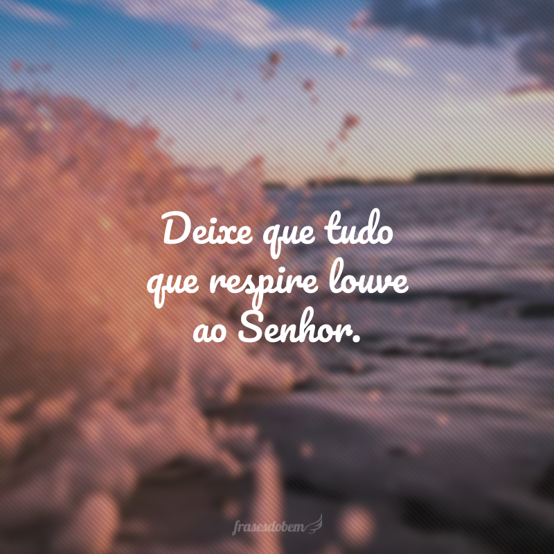 Deixe que tudo que respire louve ao Senhor. 