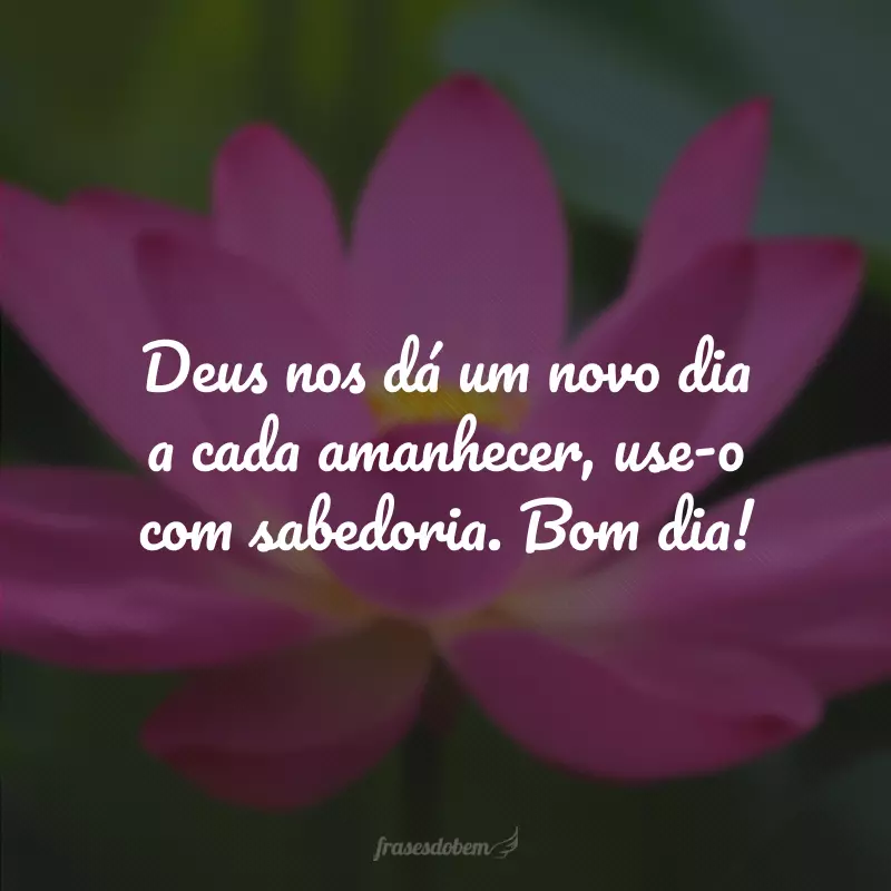 Deus nos dá um novo dia a cada amanhecer, use-o com sabedoria. Bom dia!