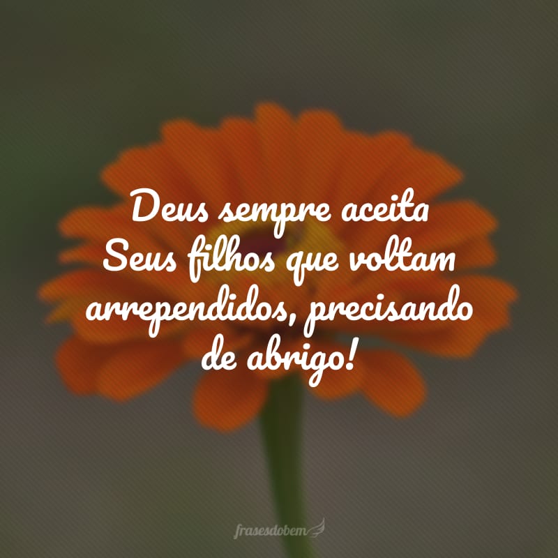 Deus sempre aceita Seus filhos que voltam arrependidos, precisando de abrigo!